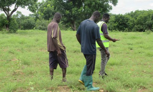 1. Survey the land (2) (1)