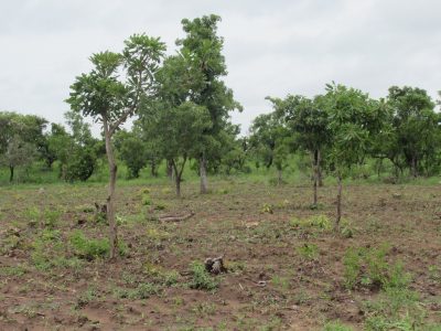 WhatsApp Image 2025-12-15 at 10.18.25 PM (1)