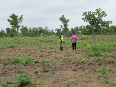 WhatsApp Image 2025-12-15 at 10.18.25 PM